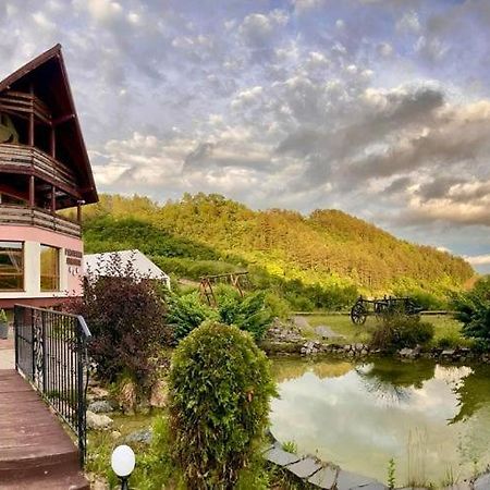 Pensiunea Armonia Nădăşelu エクステリア 写真